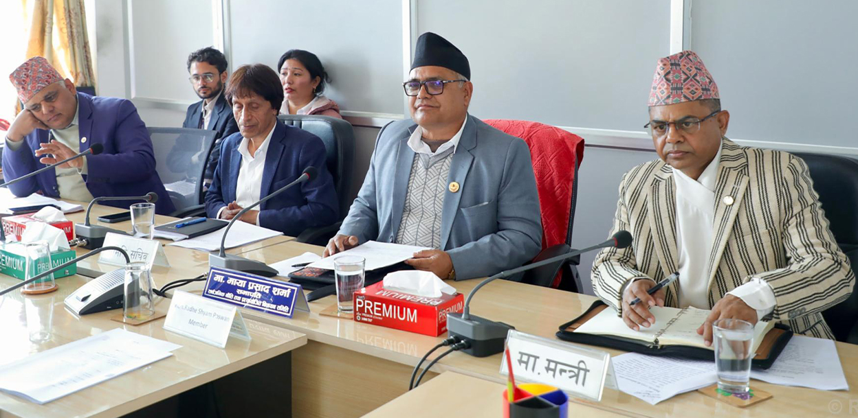 गठन आदेशबाट स्थापित संरचना : सरकारसँगै छैन तथ्यांक