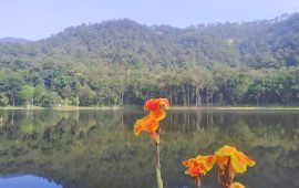 आहा ! आलिताल