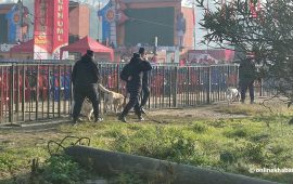 एमाले महाधिवेशन उद्घाटनस्थलमा बम डिटेक्टर उपकरण र विशेष तालिमप्राप्त कुकुरसहित प्रहरी परिचालन