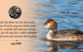 चराबाट सिकौं अतिथि सत्कार