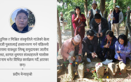 लेकमा पैयुँ फुलेपछि चासोक थिसोकको लहर