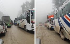 दाउन्ने खण्डमा सवारी साधनको लामो जाम