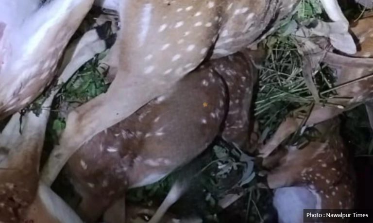 पूर्वी नवलपरासीको वनमा ८ मृग मृत फेला