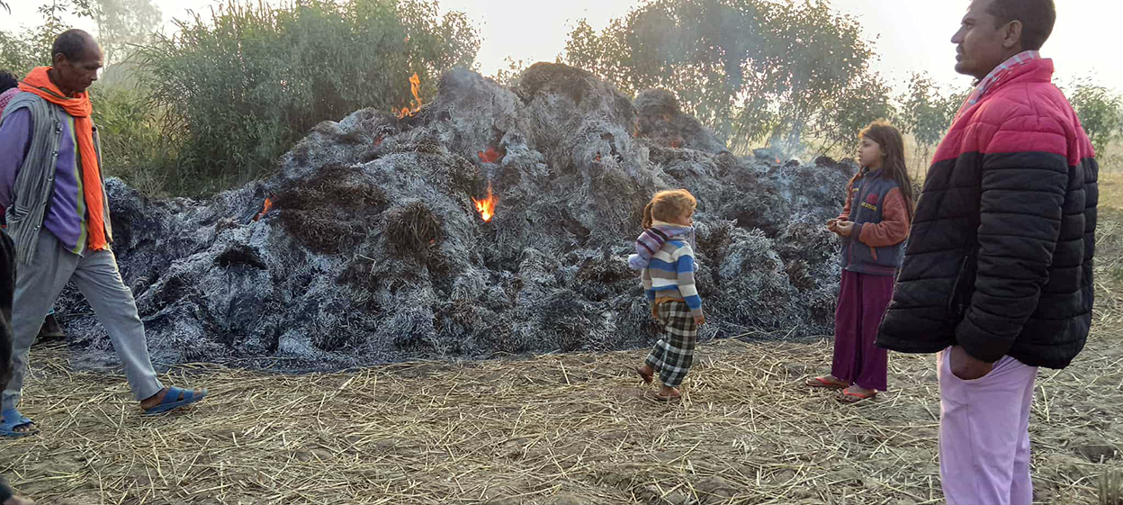 महोत्तरीमा १५ कठ्ठा खेतको धानमा आगजनी