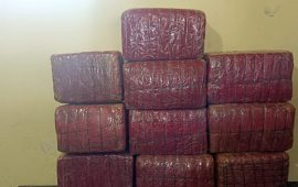 एक क्विन्टल गाँजासहित दुई जना पक्राउ