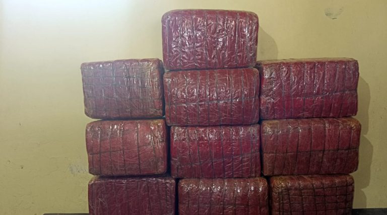 एक क्विन्टल गाँजासहित दुई जना पक्राउ