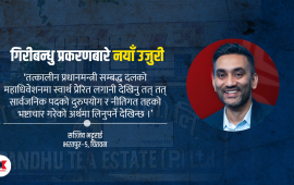 के गिरीबन्धु जग्गामाथि फेरि छानबिन हुन लागेको हो ?