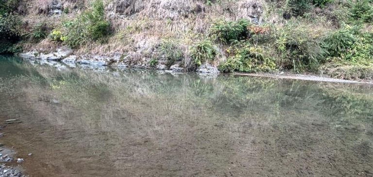 गुल्मीमा गत शनिबार फेला परेको शवको पहिचान अझै खुलेन