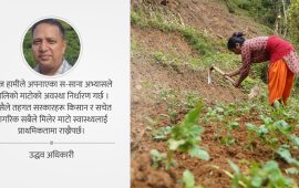 माटोको स्वास्थ्य : कृषि, खाद्य सुरक्षा र वातावरण संरक्षणको आधार