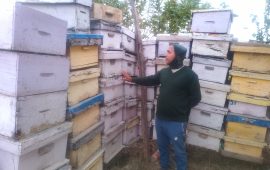 अवकाशपछिको जाँगर : मौरीपालनबाट मनग्य आम्दानी गर्दै घनश्याम