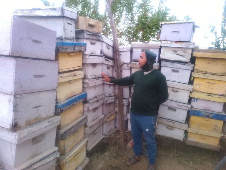 अवकाशपछिको जाँगर : मौरीपालनबाट मनग्य आम्दानी गर्दै घनश्याम