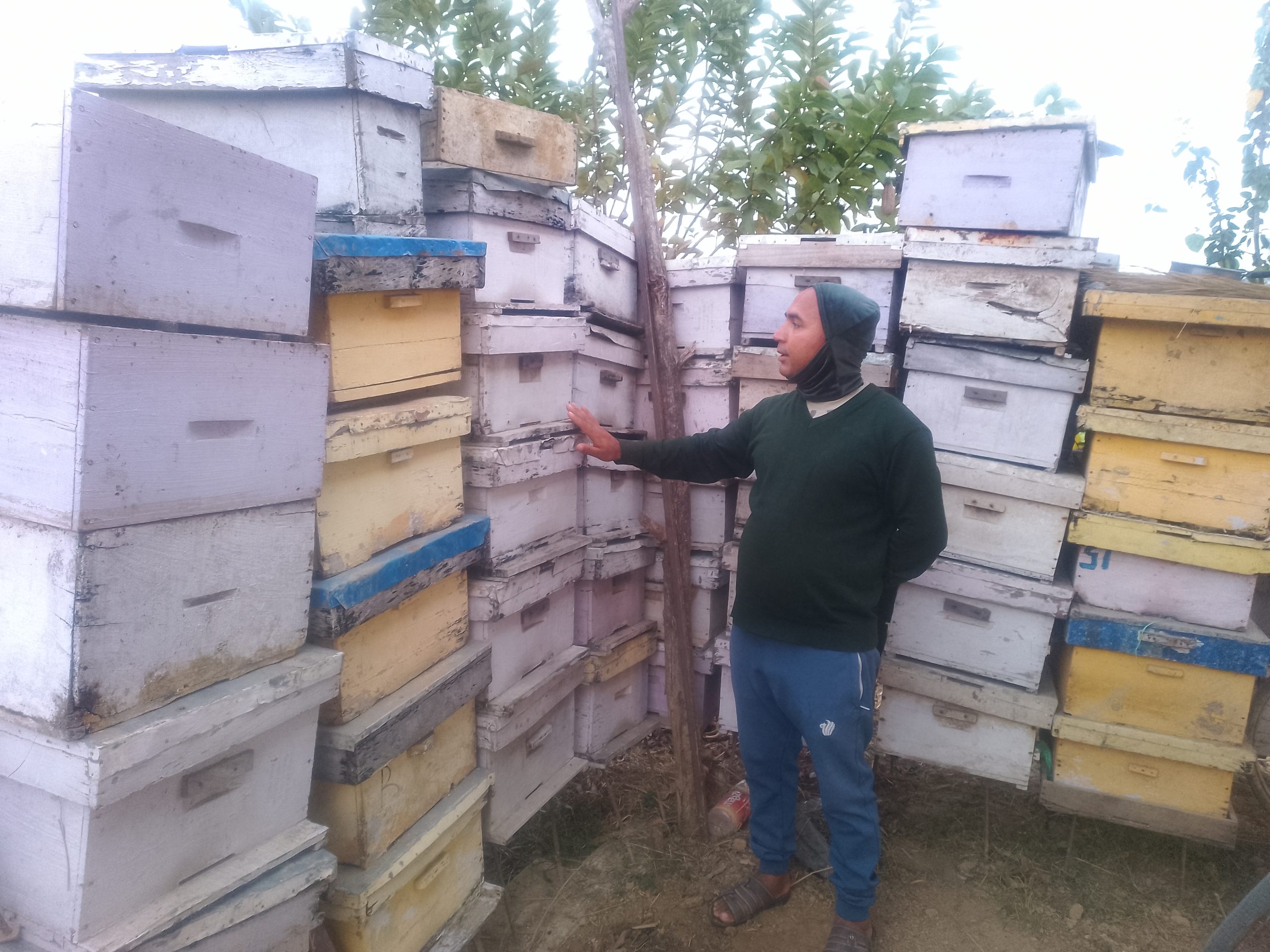 अवकाशपछिको जाँगर : मौरीपालनबाट मनग्य आम्दानी गर्दै घनश्याम