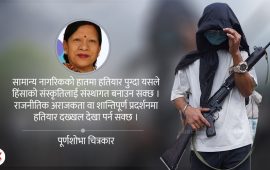 जेनजी आन्दोलनले उब्जाएको साना हतियारसम्बन्धी प्रश्न