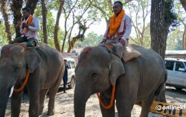 कतार जानुअघि किन रोए रुद्रकली र खगेन्द्र ? 