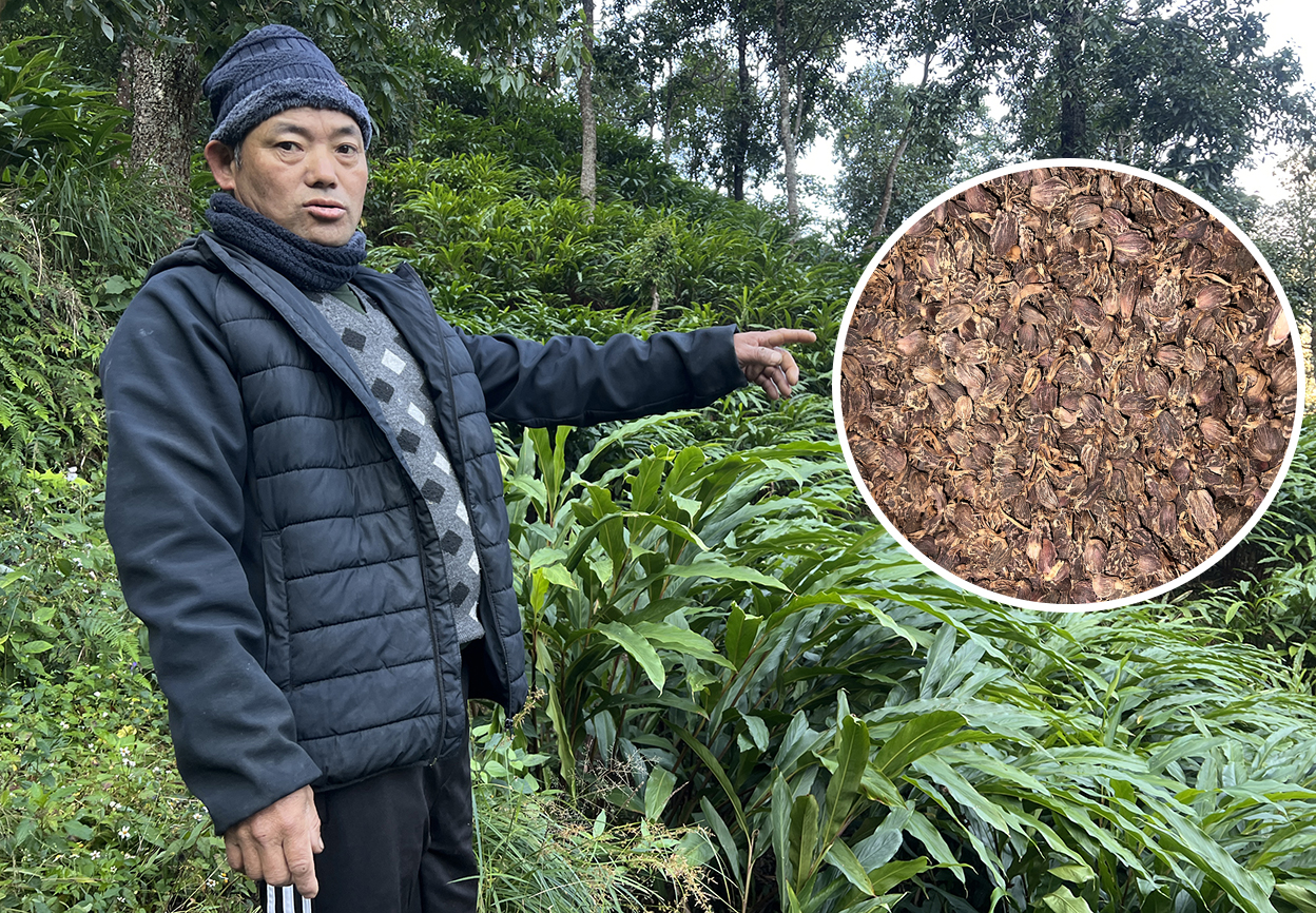 ताप्लेजुङको अलैंची मुस्लिम मुलुकमा