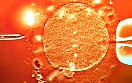 एकजना वीर्यदातामा क्यान्सरयुक्त जिन भेटिएपछि युरोपमा तरंग !