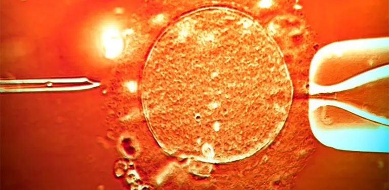 एकजना वीर्यदातामा क्यान्सरयुक्त जिन भेटिएपछि युरोपमा तरंग !