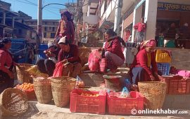 रुकुमपूर्वको सुन्तला उत्कृष्ट छ, बजार छैन