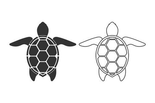 दुर्लभ प्रजातिका दुई वटा कछुवाको उद्धार