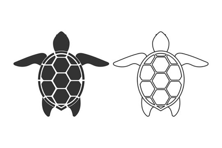 दुर्लभ प्रजातिका दुई वटा कछुवाको उद्धार