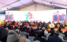 एमालेमा अब वरिष्ठ उपाध्यक्ष पद नरहने