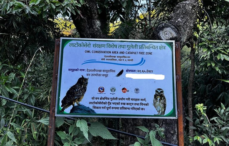 लाटोकोसेरो संरक्षित क्षेत्र बन्यो म्‍याग्दीको बास्कुना