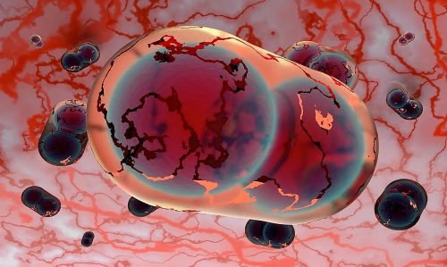 गोप्य ल्याब र सुपर भाइरस, के तेस्रो विश्वयुद्ध भए जैविक हतियार प्रयोग होला ?