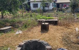 लोप हुँदैछन् बायोग्यास प्लान्ट, अर्बौं अनुदान खेर