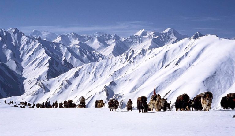 एरिक भ्याली र क्याराभान फिल्मबारे १० तथ्य