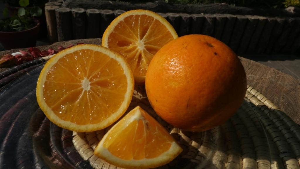 ललितपुरमा भोलिदेखि ‘सिन्धुली जुनार मेला’ 