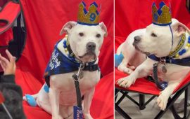 कान नसुन्ने कुकुरका लागि सांकेतिक भाषामा गीत गाउँदै बर्थडे पार्टी