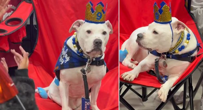 कान नसुन्ने कुकुरका लागि सांकेतिक भाषामा गीत गाउँदै बर्थडे पार्टी