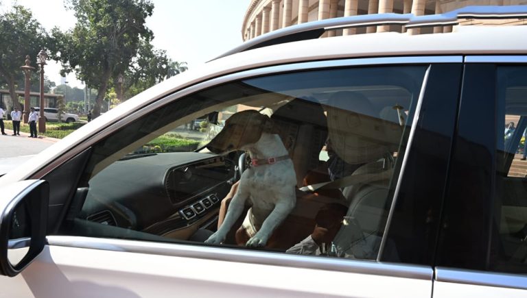 किन बनिरहेको छ भारतको संसदमा एक कुकुर विवादको कारण