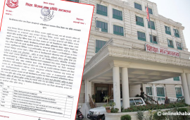 विदेशिने विद्यार्थीलाई सरकारले भन्यो- शैक्षिक संस्थाको र्‍याङकिङ र आधिकारिकता हेरेर मात्रै जानू