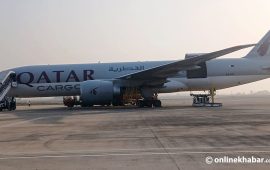 गौतमबुद्ध विमानस्थलबाट कतार उडे दुई हात्ती
