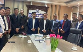 विद्युत् व्यापार र प्रसारण लाइन सहकार्यमा निजी क्षेत्रको प्रस्ताव