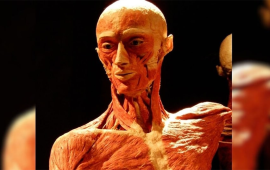 संग्रहालयको प्रदर्शनीमा छोराको शव देखेपछि…