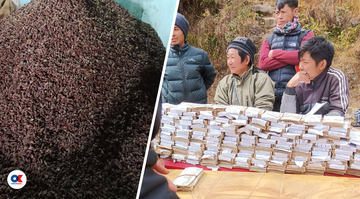 गोगनेको ‘कालो सुन’ र पैसाको थुप्र