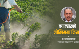 ‘खेतीबालीमा हाल्ने विषादीले धेरै किसान क्यान्सर रोगी भए’