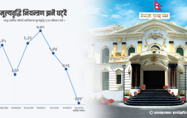 दश ग्राफमा अर्थतन्त्र