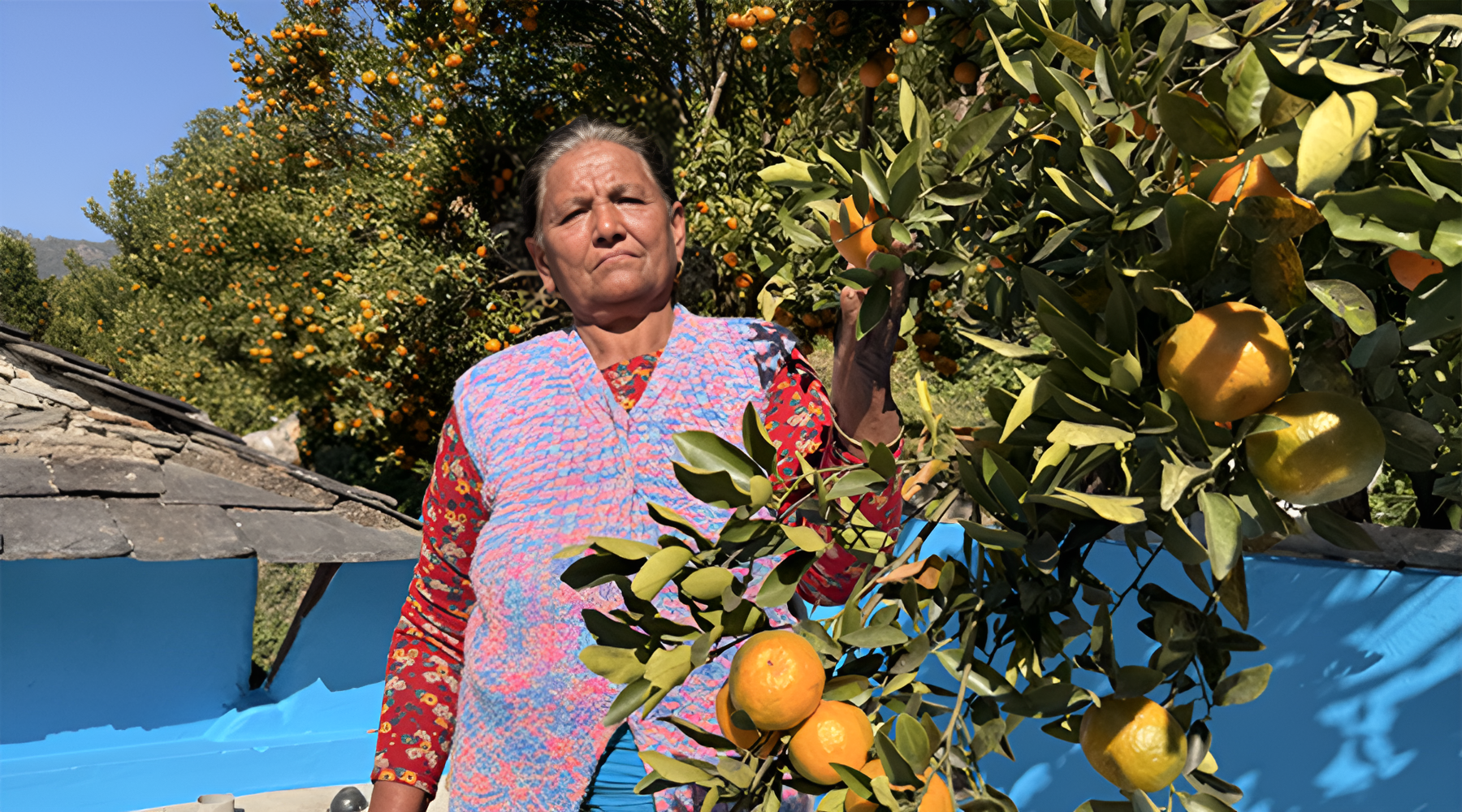 म्याग्दीकी कर्णकुमारी : सुन्तला बेचेर ठडाइन् पक्की घर