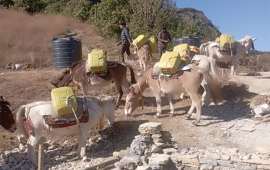 खच्चडलाई पानी बोकाएर खानेपानी ट्यांकी निर्माण गरिँदै