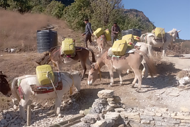 खच्चडलाई पानी बोकाएर खानेपानी ट्यांकी निर्माण गरिँदै