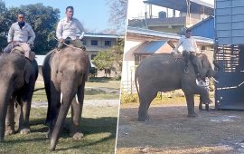 कतार जाने खगेन्द्र र रुद्रकलीको चितवनबाट बिदाइ (तस्वीरहरू)