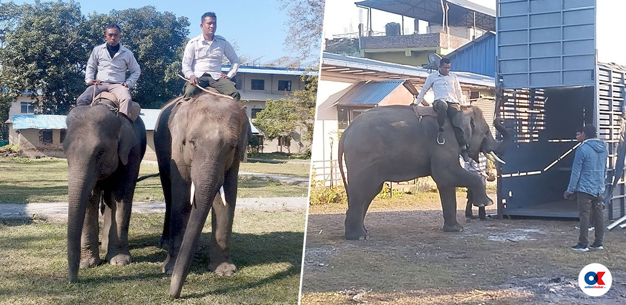 कतार जाने खगेन्द्र र रुद्रकलीको चितवनबाट बिदाइ (तस्वीरहरू)