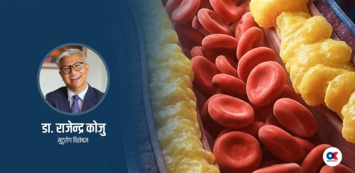 कोलेस्टेरोल र तेलमा के सम्बन्ध छ ?