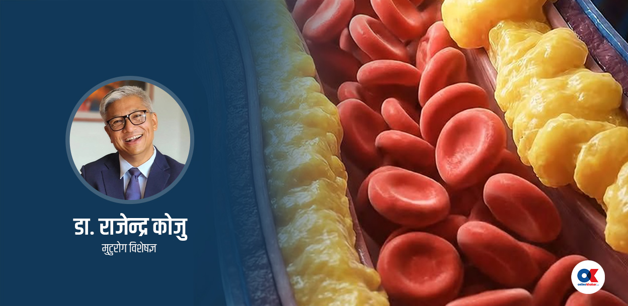 कोलेस्टेरोल र तेलको बीचमा के सम्बन्ध छ ?