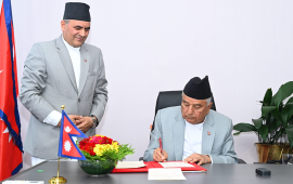 राष्ट्रपतिबाट निर्वाचन सम्बन्धी अध्यादेश जारी