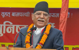 विराटनगर विमानस्थलमा प्रचण्डलाई गाली गरेको आरोपमा एक पक्राउ