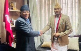 प्रचण्ड भेट्न हात्तीवन पुगे सञ्चारमन्त्री